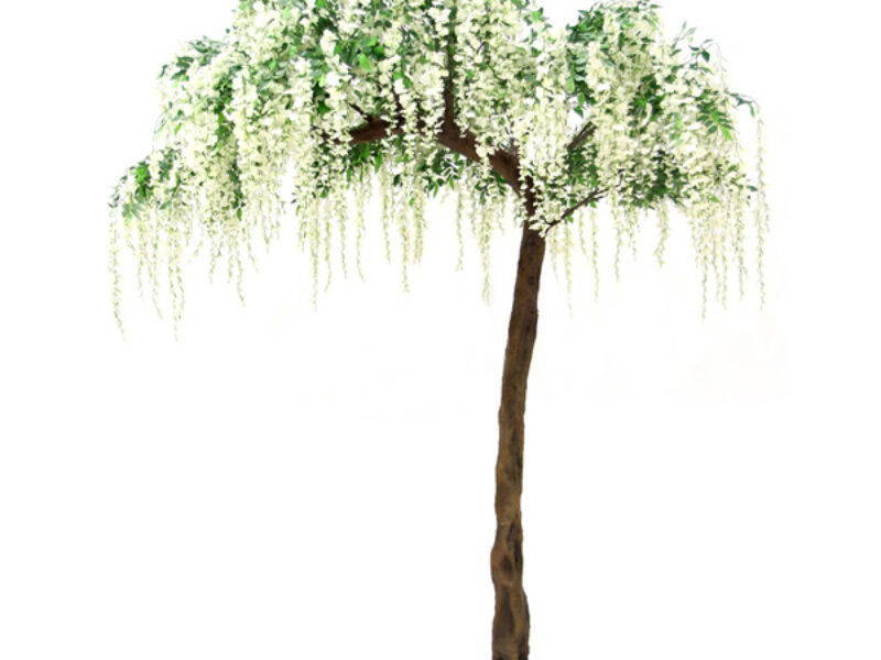 Half canopy hanging cream wisteria tree for web