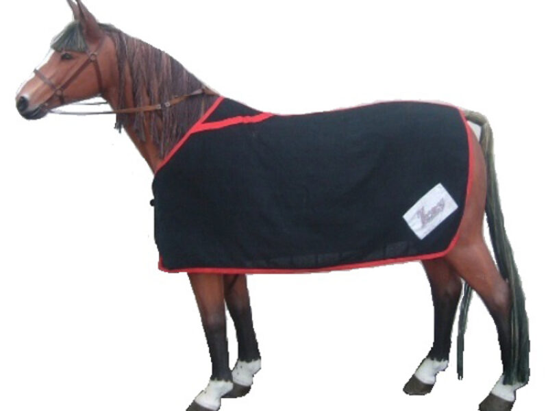 +RAC212A Horse with Sweat rug
