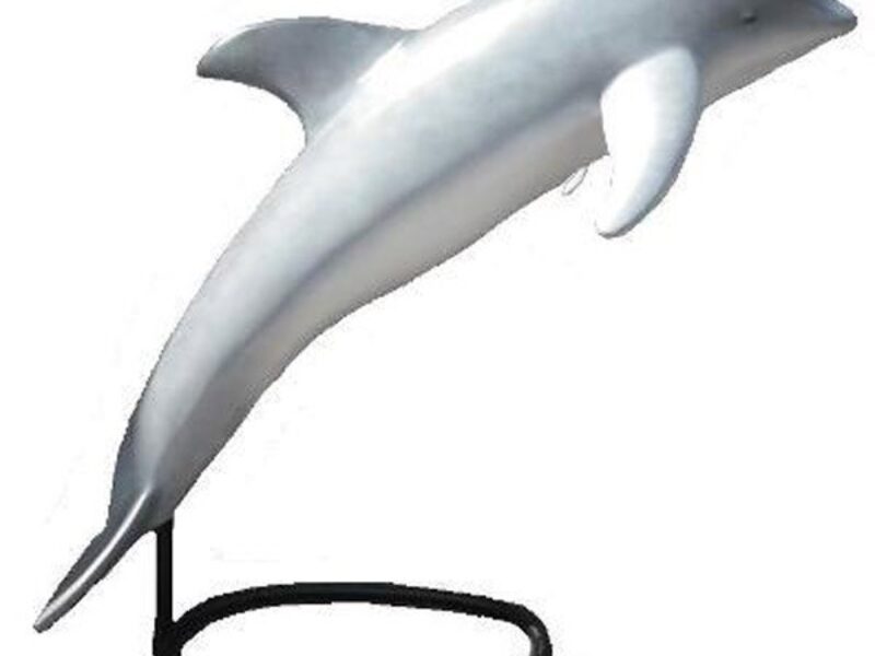 Dolphin Model 3D Prop