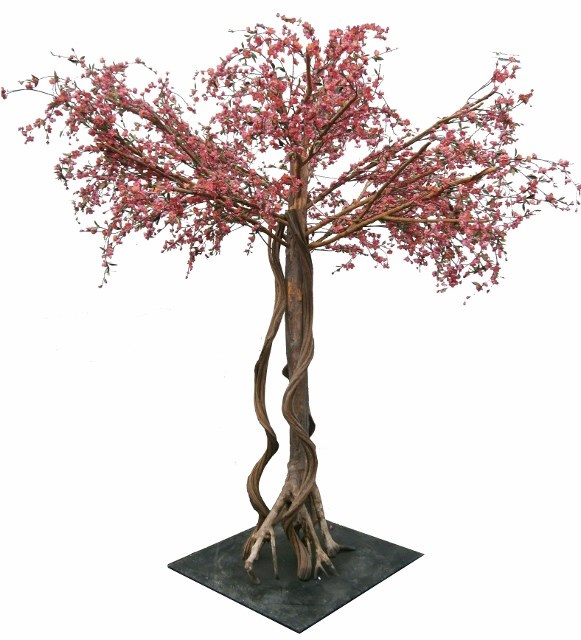 Giant Blossom Tree Model 3D