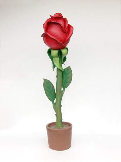  Giant Rose Model