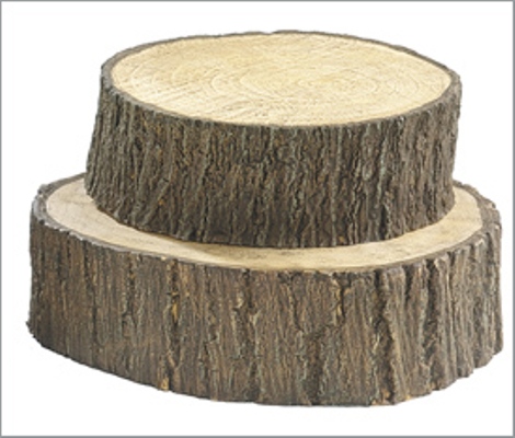  Tree Log Slices (Various sizes)
