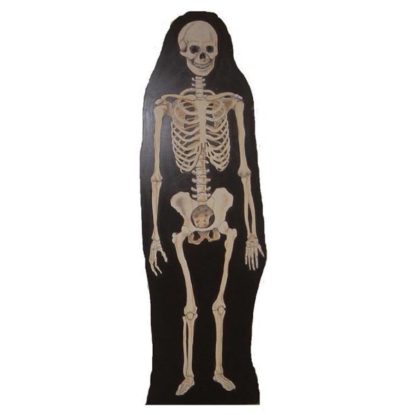Flat of Skeleton on Black Board (UV)