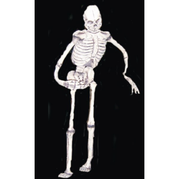 Skeleton in Latex 