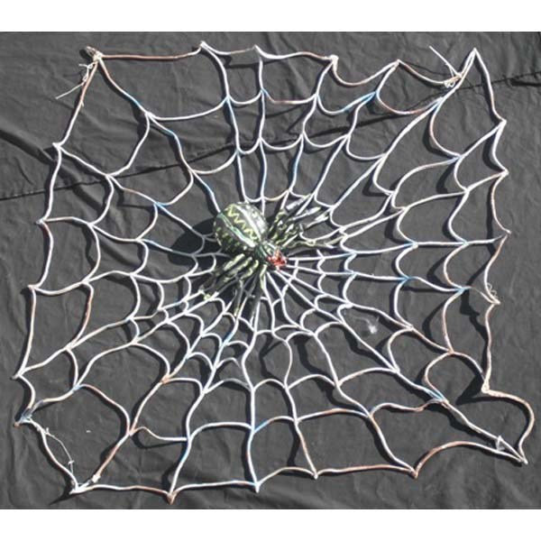 Spider in latex Web