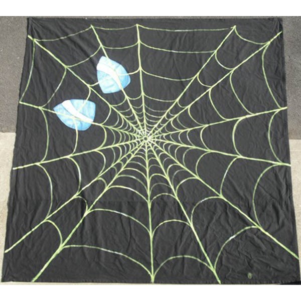 Spider Web Backdrop