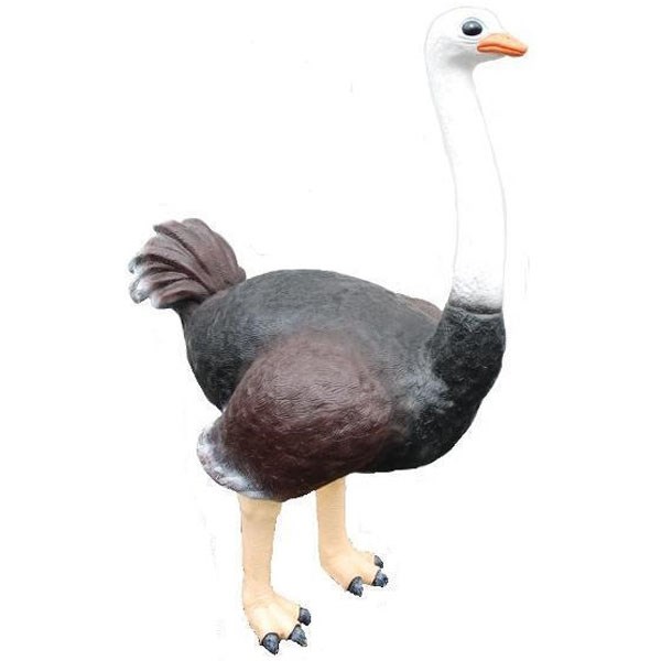 3D Ostrich Model