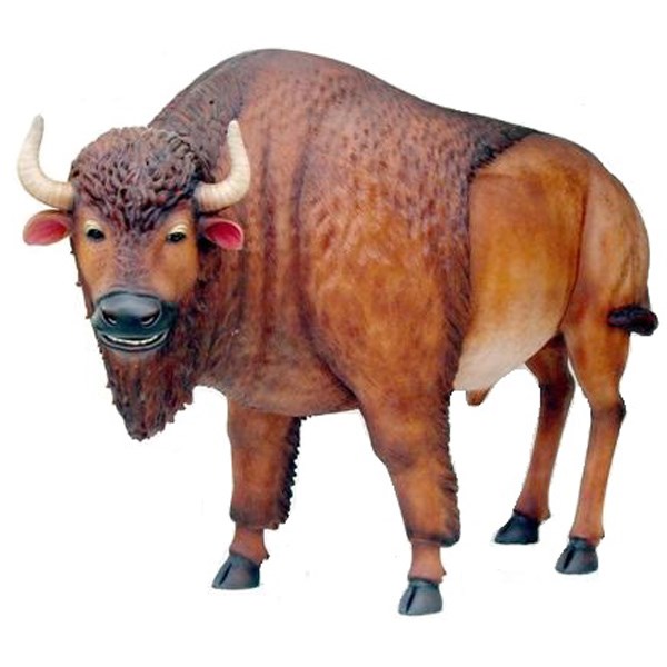Buffalo 3D Model