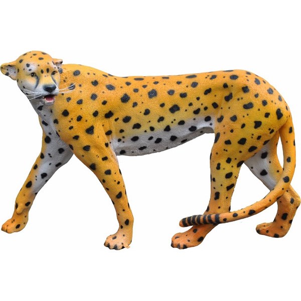 Cheetah Model