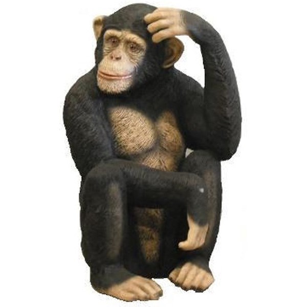 Chimpanzee Monkey 3D Model (Sat)