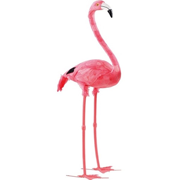 Flamingos (Standing)