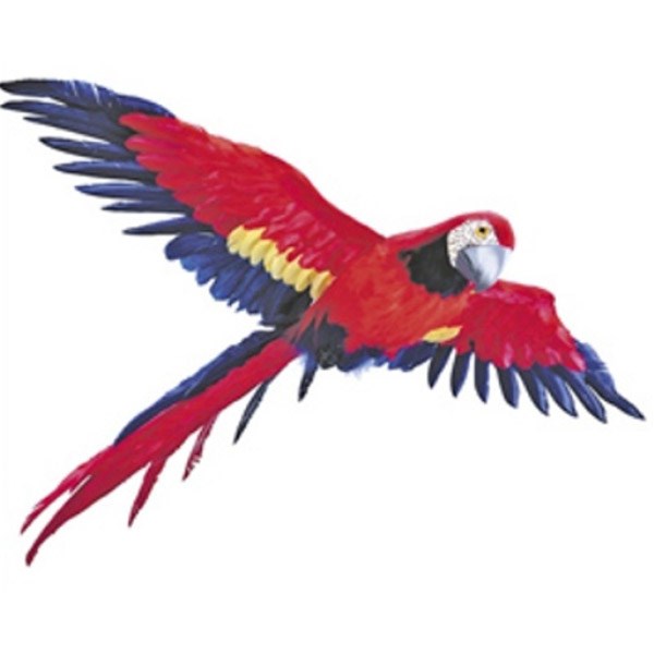 Macaw Flying 3D