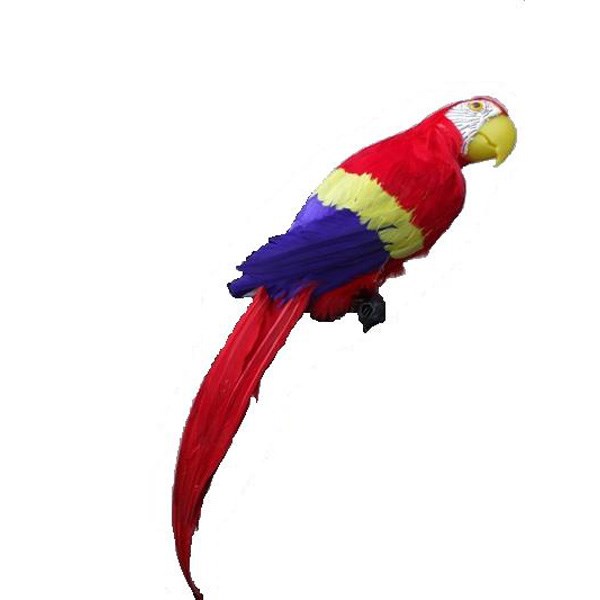 Macaw Perched 3D
