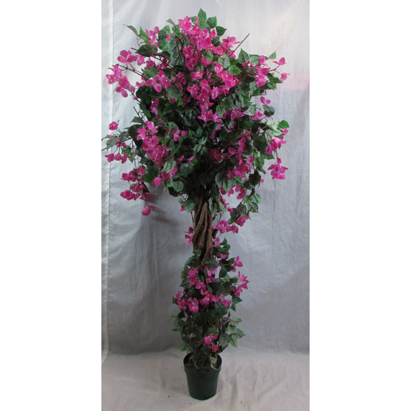 Bourganvillia Tree c/w Pink Flowers