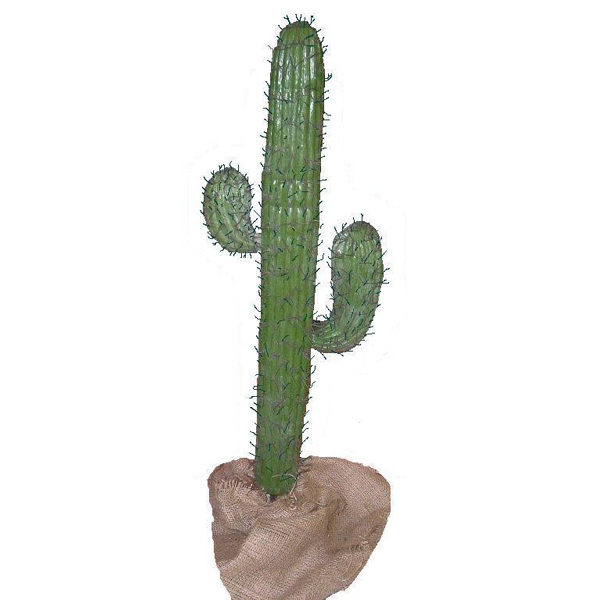 Cacti Saguaro (small)