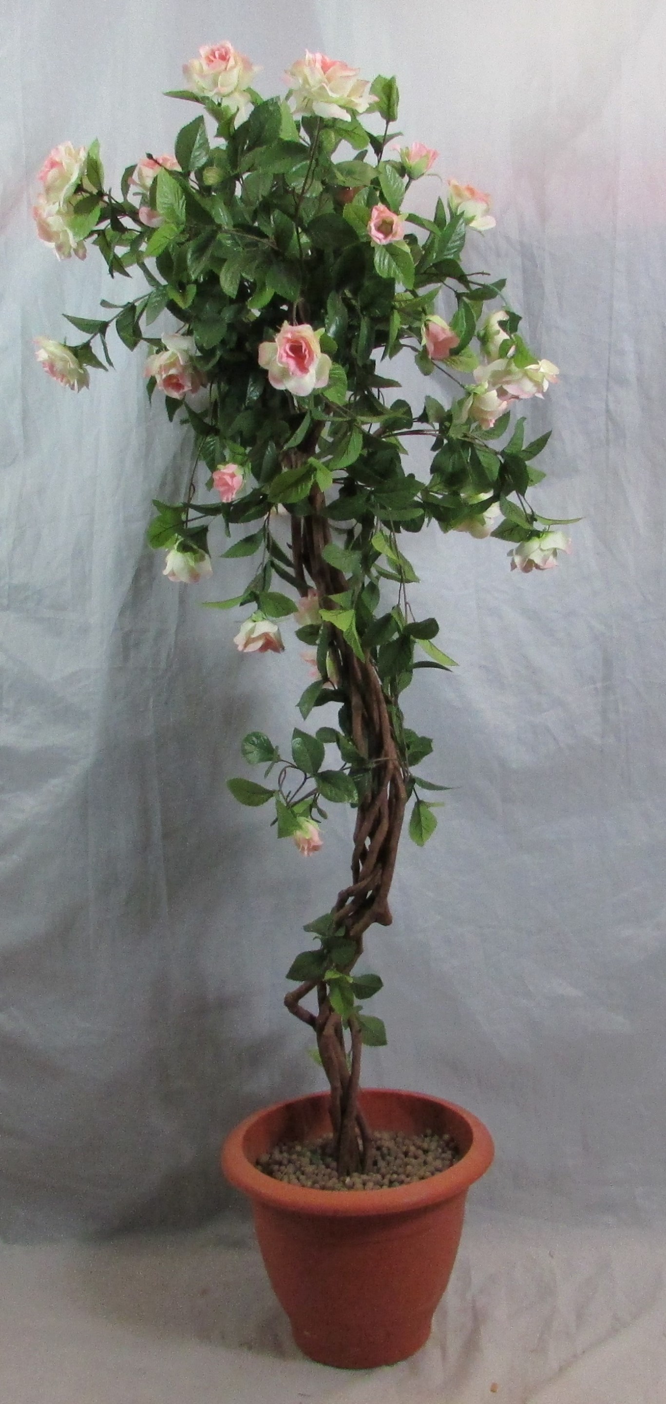 Rose Bush White/Pink roses