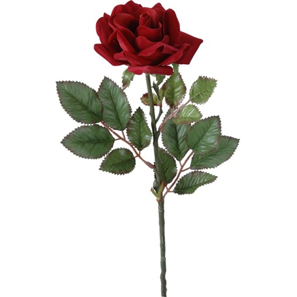 Rose Red Single Stem