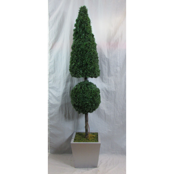 Topiary Tree Ball & Cone Style