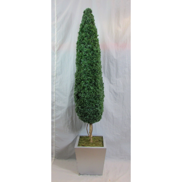 Topiary Tree Flame Style