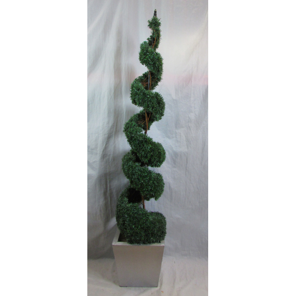 Topiary Tree Spiral style