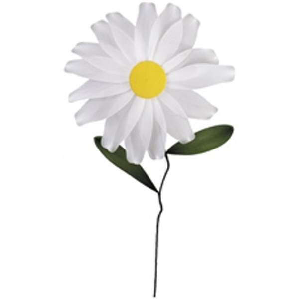 Large Daisy Flower