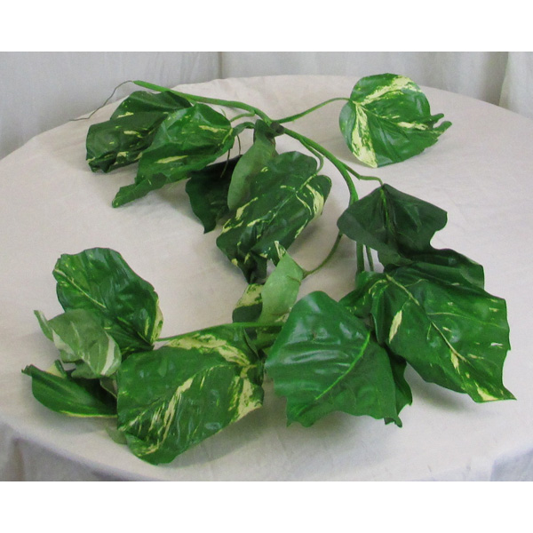 Pothos leaf Garland