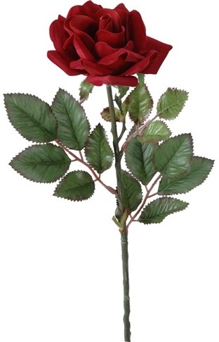 Red Rose Large single stem