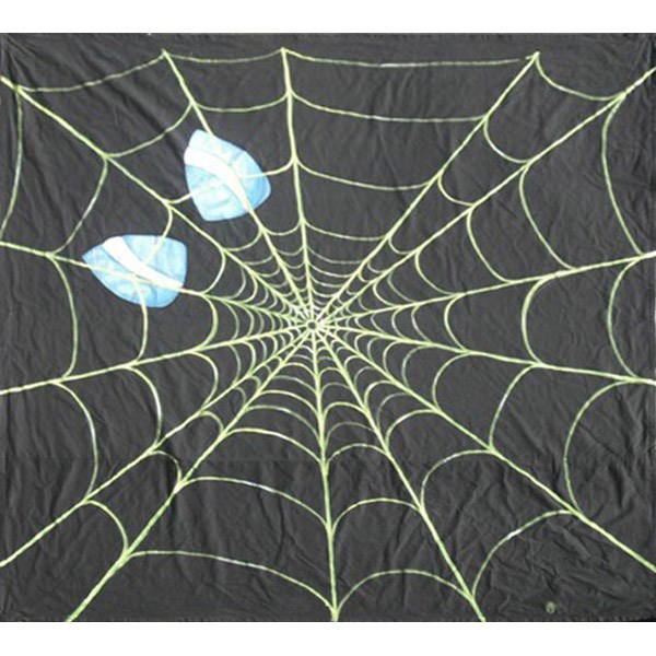 Spiderweb Backdrop