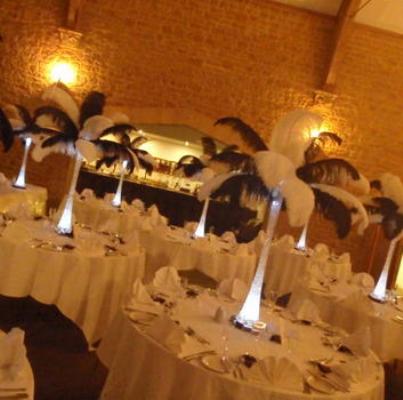 Ostrich Feather Table Centre Display c/w LED Base