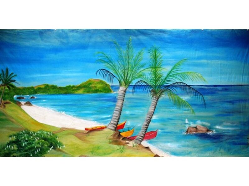 Caribbean/Pirates/Rio Boats & Palms Backdrop 3
