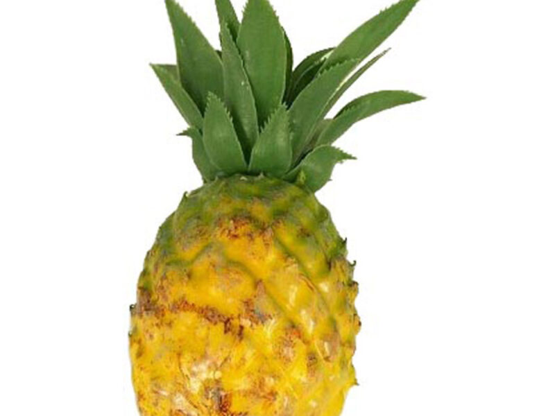 Pineapple model