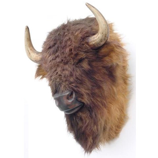 Buffalo Head 3D