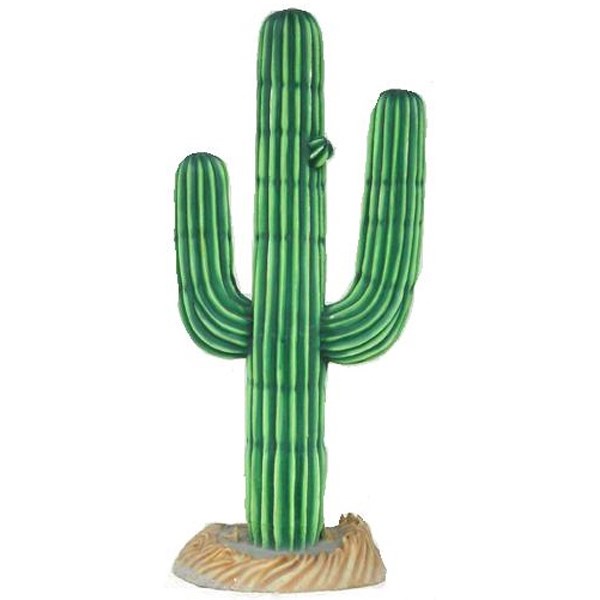 Cacti Model 3D (Fibreglass)