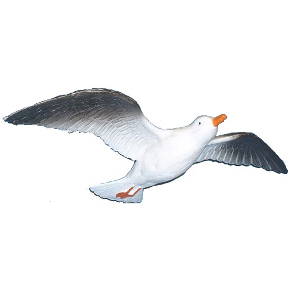 Seagull 3D Model In Flight