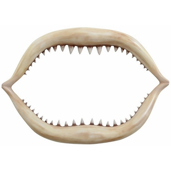 Great White Shark Teeth Model