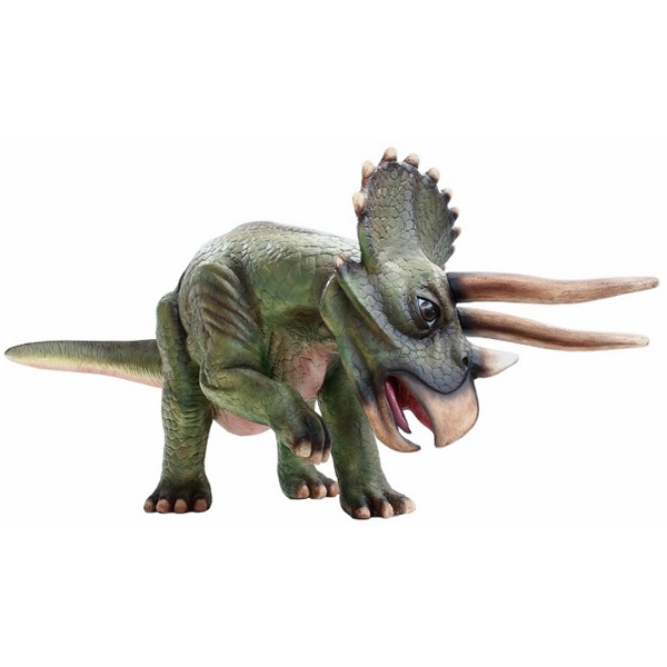 Triceratops Dinosaur 3D model