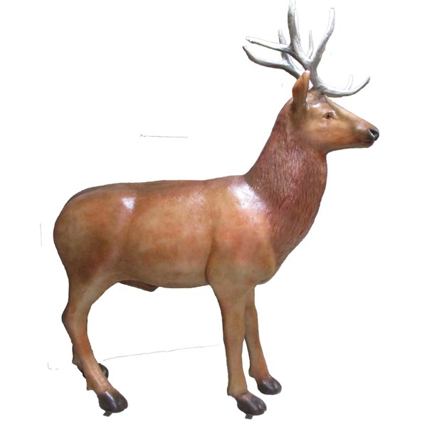 Reindeer or Red Deer Stag