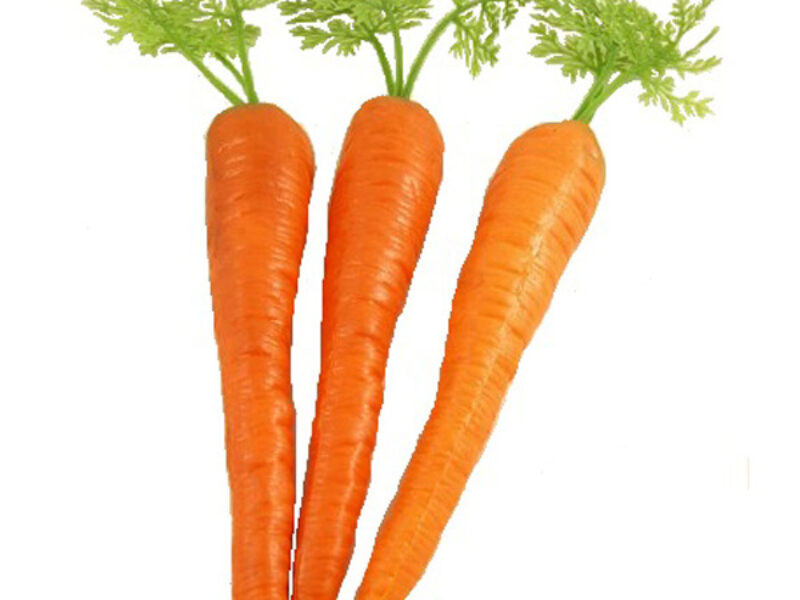 Carrots Pack of 12