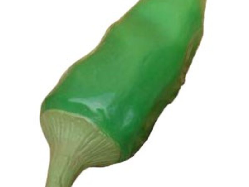Giant Green Chilli