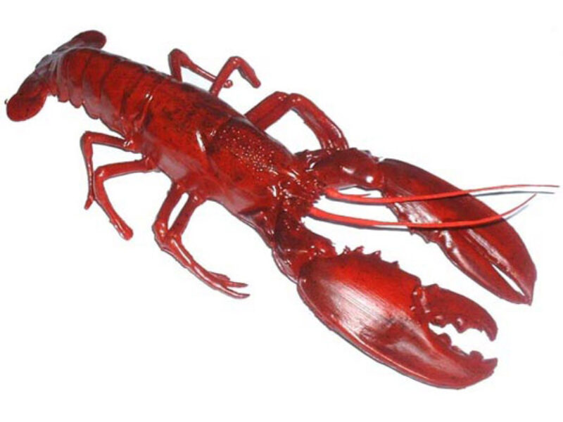 Lobster 3D model
