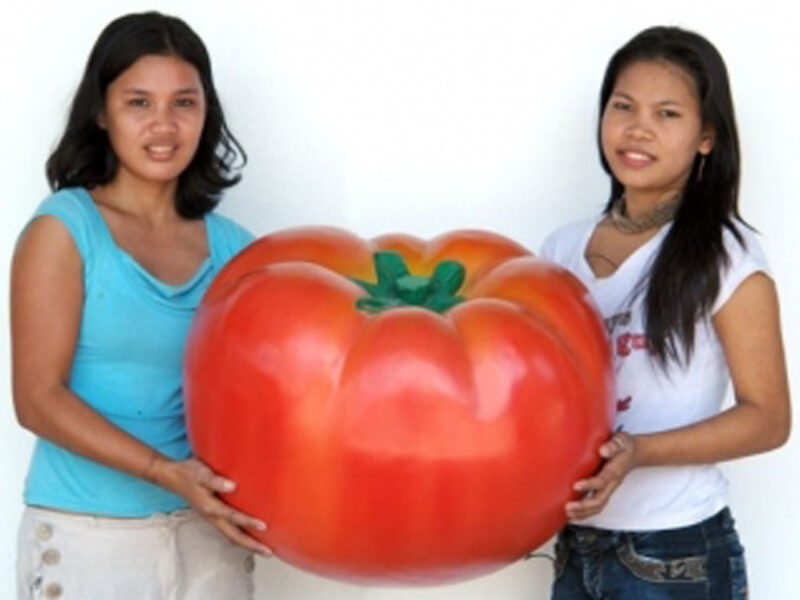 Model of Giant Tomato