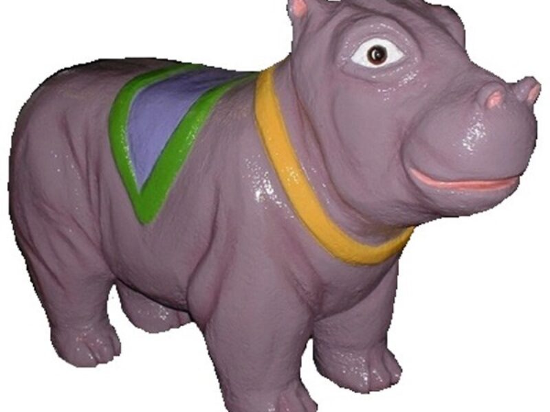  Model of Hippo