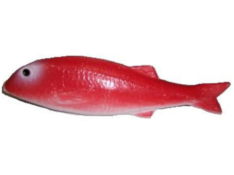 Red Mullet Fish 3D model