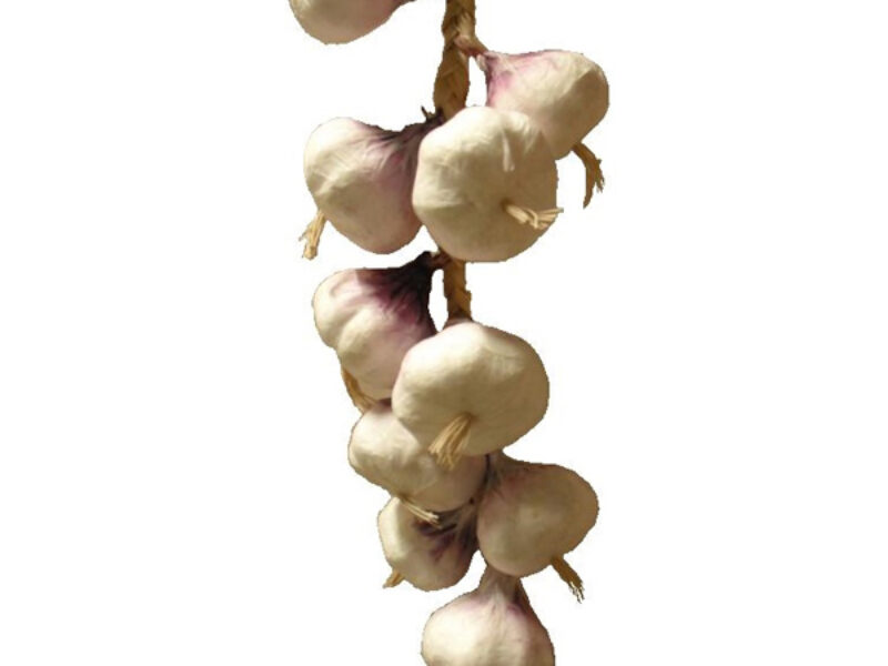 String of Garlic prop