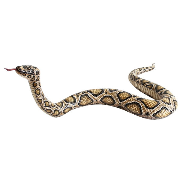 Anaconda Snake Model