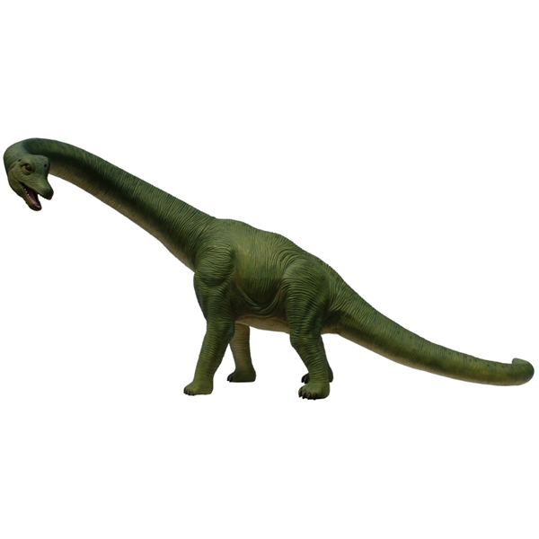 Brachiosaurus Model