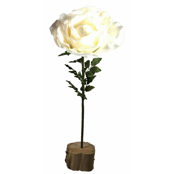 Giant Cream Rose on Wooden Stump