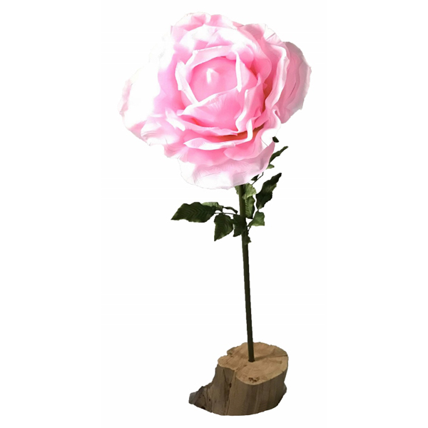 Giant Pink Rose in Wooden Stump