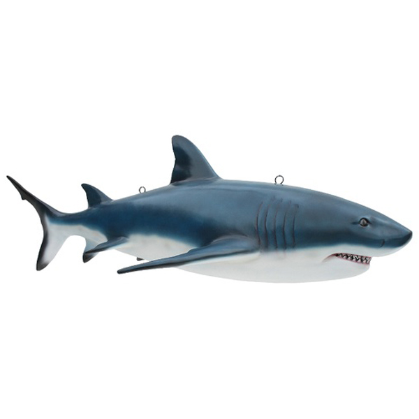 Great White Shark Model