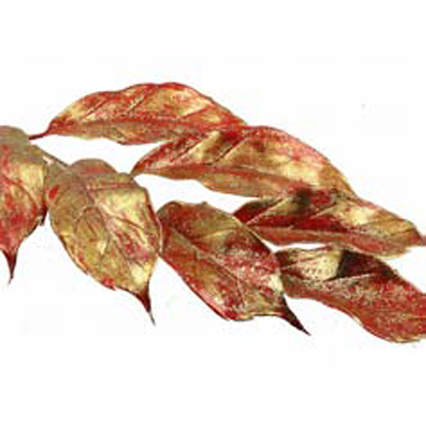 Magnolia Spray Red/Gold